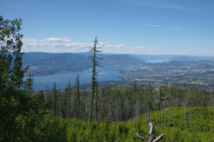 Picture of the Okanagan valley