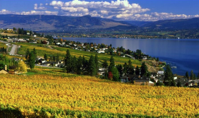 Picture of the Okanagan valley BC